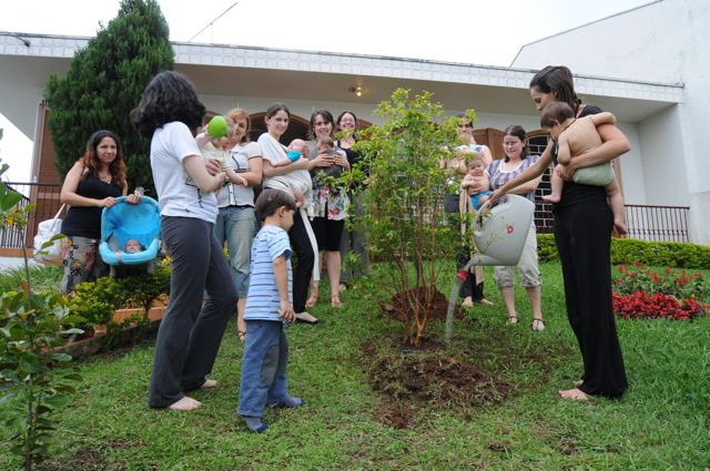 As árvores e os frutos do Espaço AOBÄ